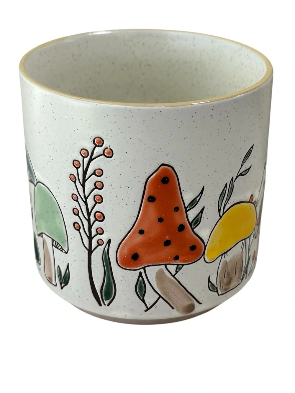 SPECTRUM MOREL VALLEY MUSHROOM Designz 18oz Stackable Mug Retro Colors